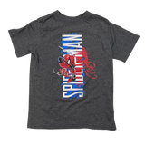Spiderman, Marvel, Grey T-shirt, Kids 4T