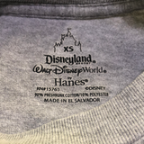 Walt Disney World 2010, Grey T-shirt, Kids 3T