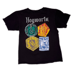 Harry Potter, Hogwarts 4 Houses, Black T-shirt, Youth XL