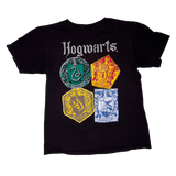 Harry Potter, Hogwarts 4 Houses, Black T-shirt, Youth XL